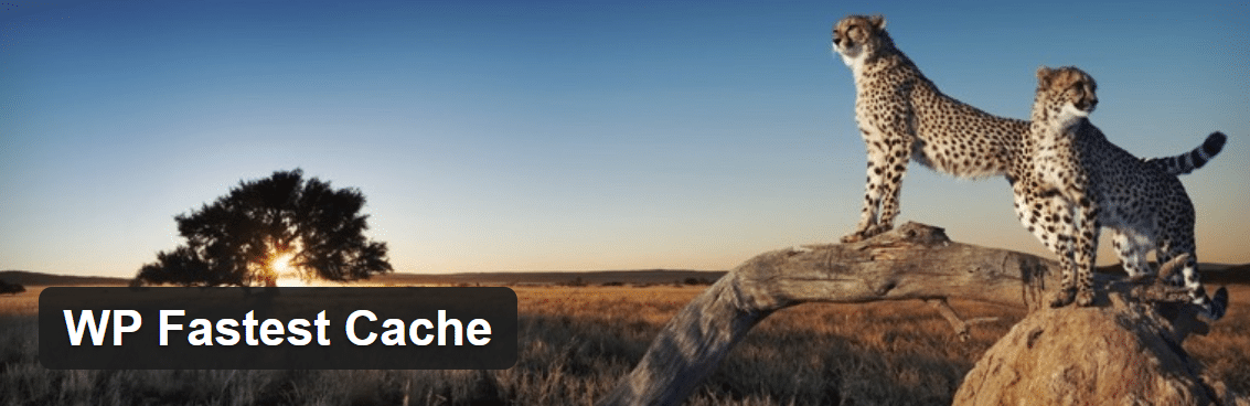 پاک کردن کش سایت های وردپرسی