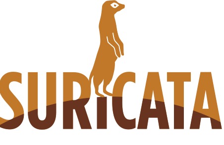 نرم افزار SURICATA برای استفاده و درک تفاوت IDS و IPS