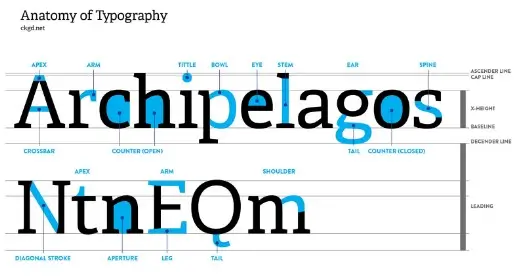آناتومی در تایپوگرافی