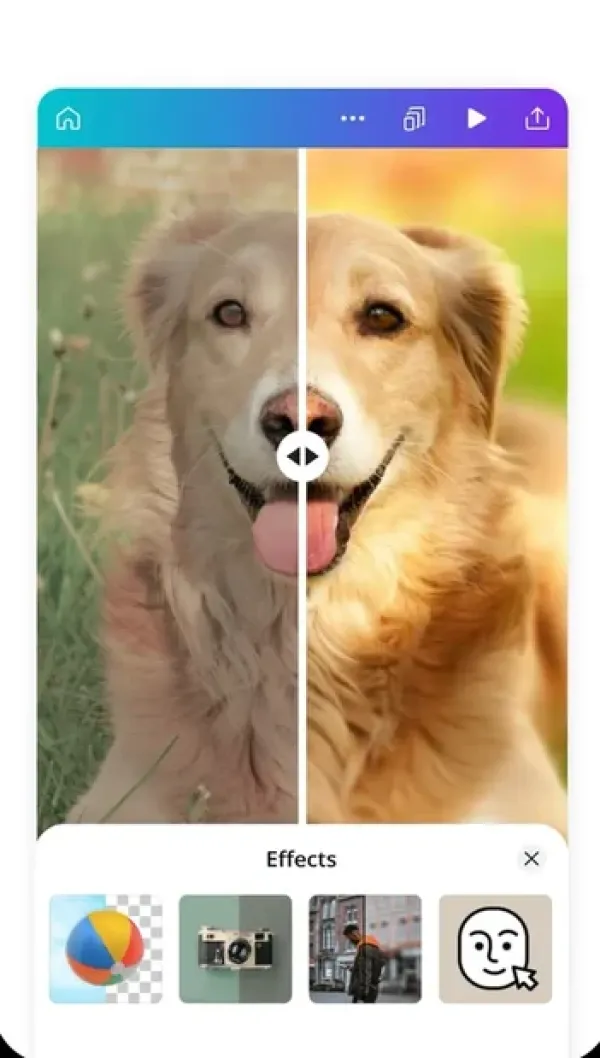 برنامه Canva یکی از معروف ترین برنامه های ساخت پست و استوری اینستاگرام