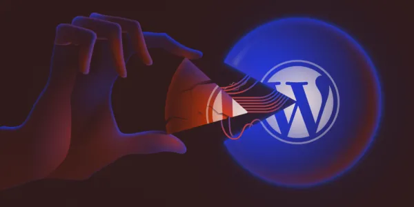 آسیب پذیری امنیتی افزونه ها