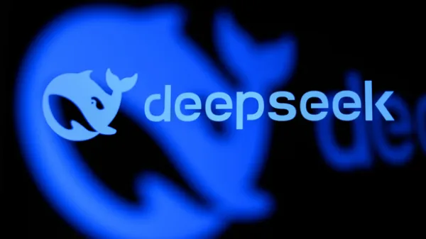 شرایط استفاده DeepSeek
