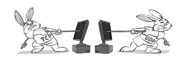پروتکل‌های مورد استفاده در DNS