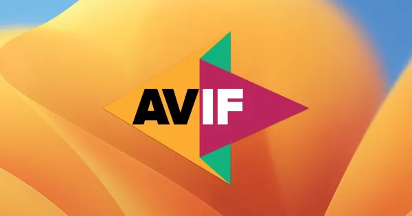 مقایسه فرمت AVIF و JPEG XL