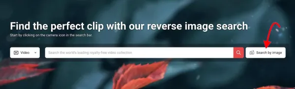 جستجوی معکوس ویدیو در Shutterstock