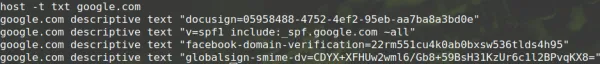 یافتن رکورد TXT با دستور Host در لینوکس