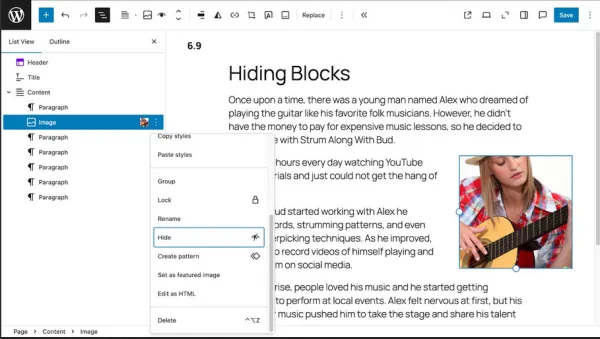 پنهان کردن بلوک‌ها در وردپرس 6.9