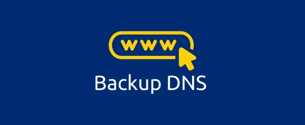 بکاپ DNS چه کاربردی دارد