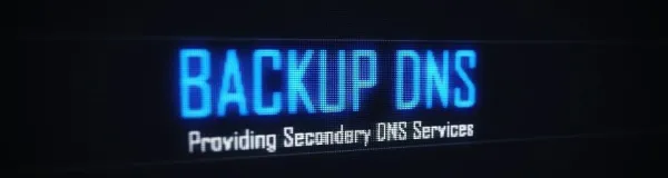 بکاپ DNS و نحوه فعالیت و عملکرد آن