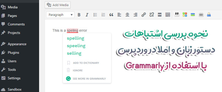 نحوه بررسی اشتباهات دستور زبان و املا در وردپرس با استفاده از Grammarly