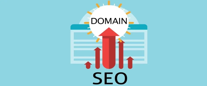 نقش دامنه بر سئو سایت