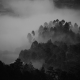رضا پناهی
